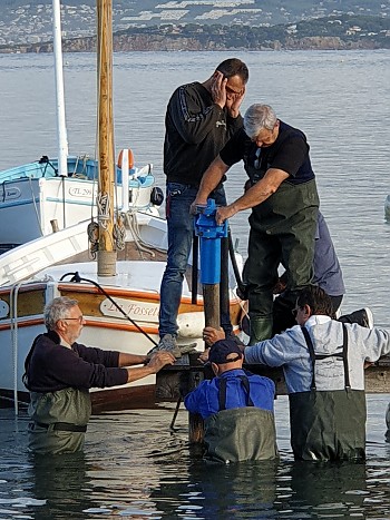 Pose des pieux de pontons en bois dans la lagune du Brusc