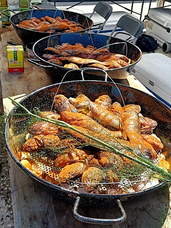 Bouillabaisse Bouillabaisse