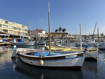 PAPY pointu de 1967 PAPY pointu de 1967