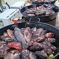 Bouillabaisse sur le port du Brusc Bouillabaisse sur le port du Brusc